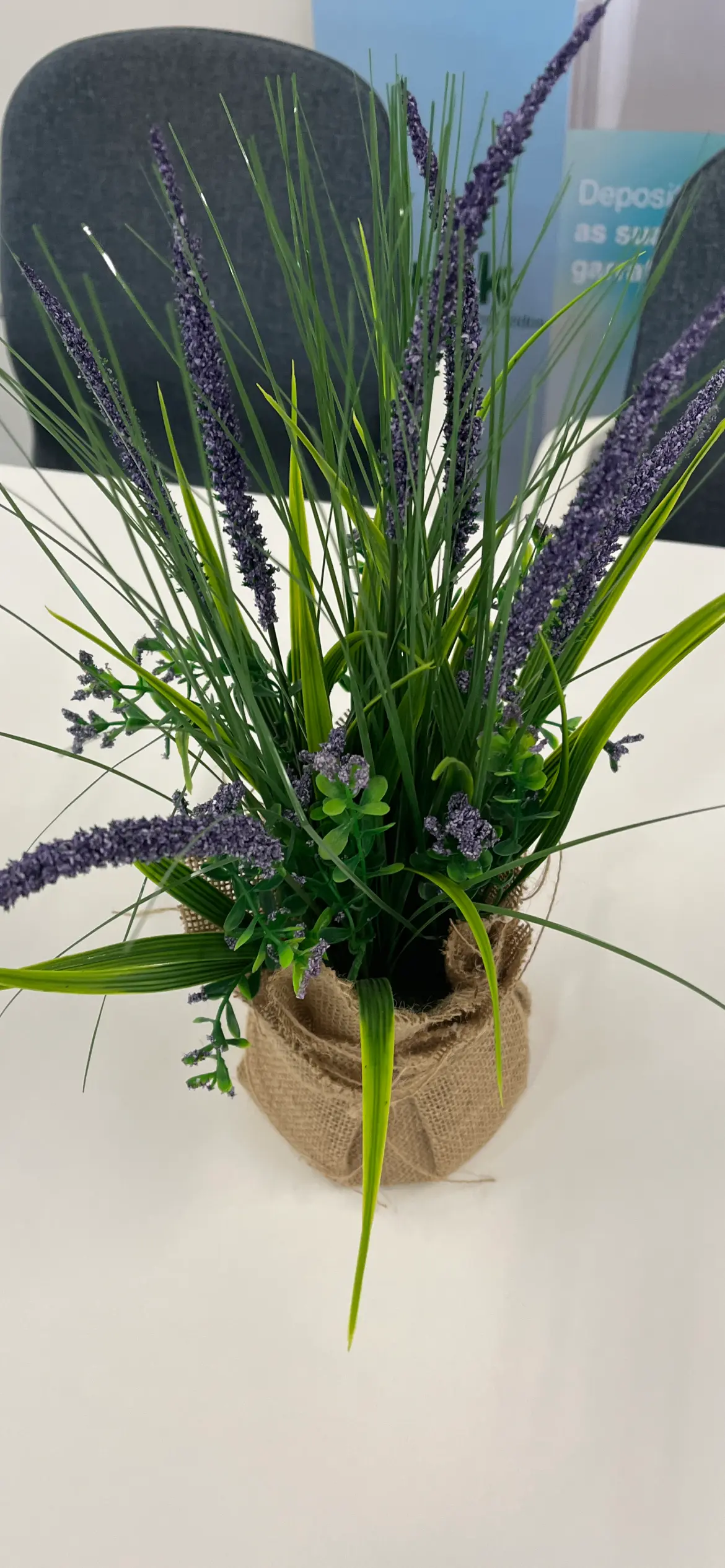 2D plant image
